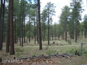 1941 Tall Trees Loop, Forest Lakes, AZ 85931 photo 11