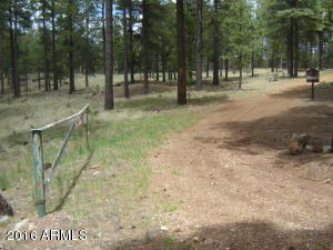 1941 Tall Trees Loop, Forest Lakes, AZ 85931 photo 9