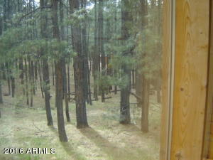 1941 Tall Trees Loop, Forest Lakes, AZ 85931 photo 24