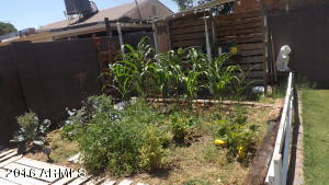 641 E 1st Ave, Mesa, AZ 85204 photo 30