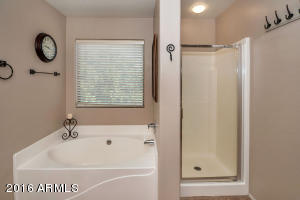 2736 E Beautiful Ln, Phoenix, AZ 85042 photo 15