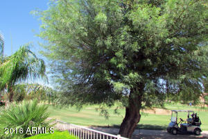 1295 S Sandstone St, Gilbert, AZ 85296 photo 34