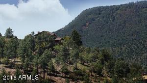 6115 W Skyview Cir, Pine, AZ 85544 photo 5