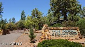 6115 W Skyview Cir, Pine, AZ 85544 photo 3