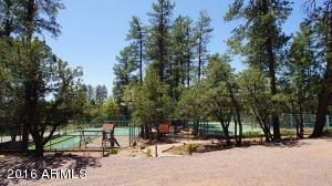 6115 W Skyview Cir, Pine, AZ 85544 photo 4