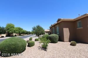 1247 E Bautista Rd, Gilbert, AZ 85297 photo 21
