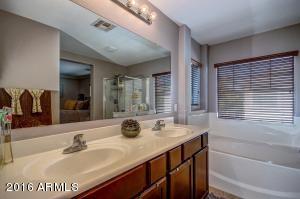 116 E Palomino Dr, Gilbert, AZ 85296 photo 12
