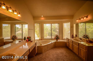 1302 E Grandview St, Mesa, AZ 85203 photo 12