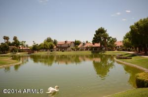 1302 E Grandview St, Mesa, AZ 85203 photo 30