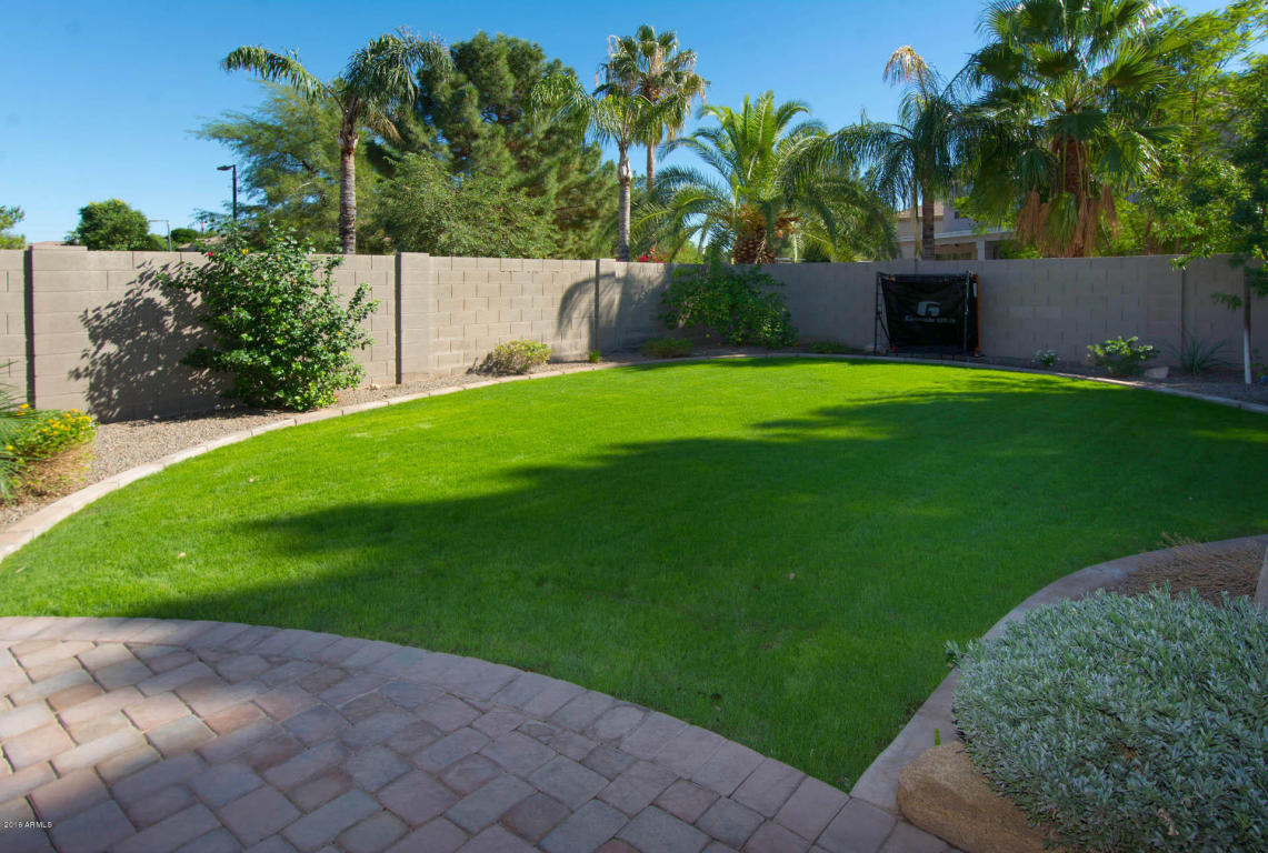 1503 E Sagebrush St, Gilbert, AZ 85296 photo 14