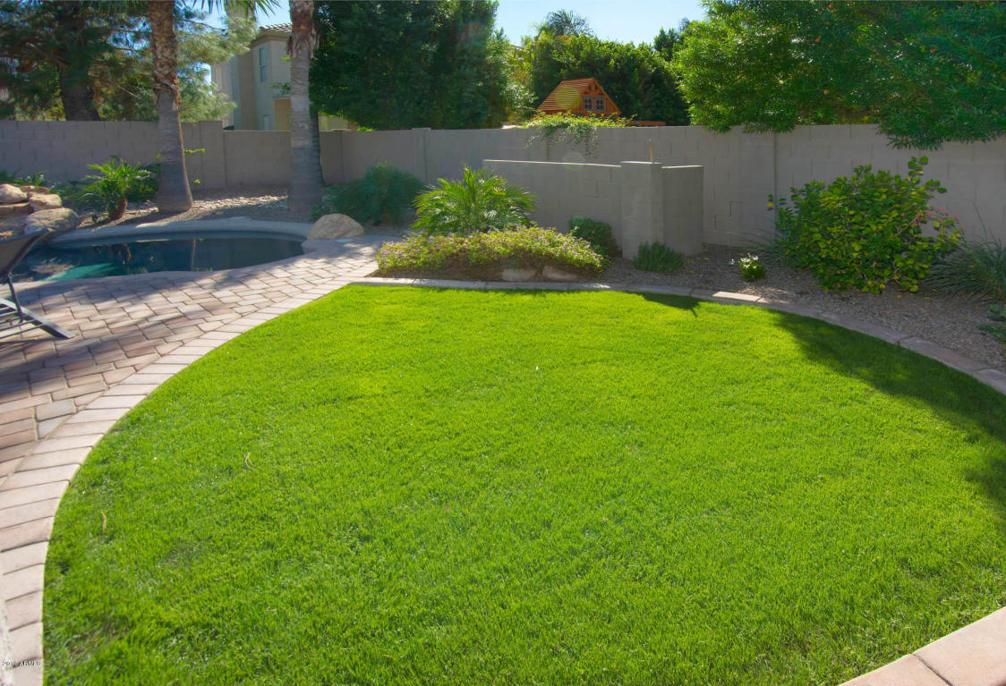 1503 E Sagebrush St, Gilbert, AZ 85296 photo 13