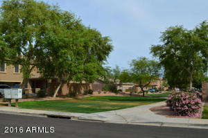 3882 E Thornton Ave, Gilbert, AZ 85297 photo 42