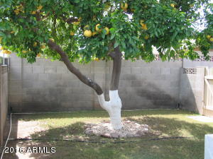 1275 E Manhatton Dr, Tempe, AZ 85282 photo 23