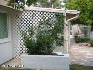 1275 E Manhatton Dr, Tempe, AZ 85282 photo 24