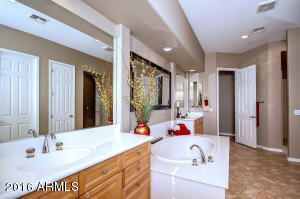 2889 E Lowell Ave, Gilbert, AZ 85295 photo 45