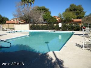 5212 E Half Moon Dr, Phoenix, AZ 85044 photo 16