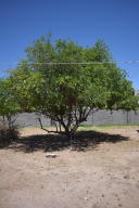 11428 E 5th Ave, Apache Junction, AZ 85120 photo 11