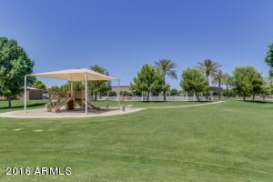 4219 E Linda Ln, Gilbert, AZ 85234 photo 35