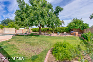 2732 E North Ln, Phoenix, AZ 85028 photo 55