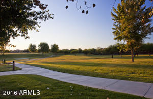 3647 E Moreno St, Gilbert, AZ 85297 photo 33