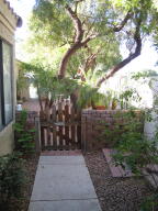 341 E Hearne Way, Gilbert, AZ 85234 photo 4