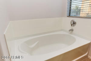 3362 E Merlot St, Gilbert, AZ 85298 photo 20
