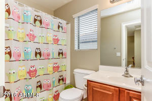3362 E Merlot St, Gilbert, AZ 85298 photo 23