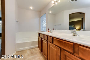 3362 E Merlot St, Gilbert, AZ 85298 photo 19