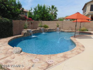 2417 W Hedgehog Pl, Phoenix, AZ 85085 photo 23