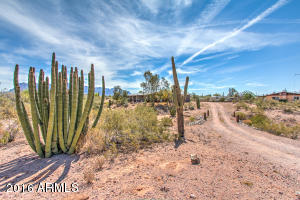 151 S Royal Palm Rd, Apache Junction, AZ 85119 photo 42