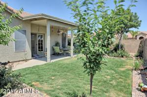 3245 E Sequoia Dr, Phoenix, AZ 85050 photo 10