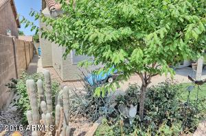 3245 E Sequoia Dr, Phoenix, AZ 85050 photo 23