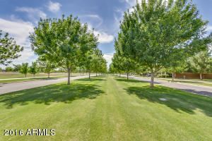 3462 E Morrison Ranch Pkwy, Gilbert, AZ 85296 photo 30