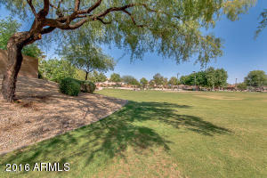 10044 E Osage Ave, Mesa, AZ 85212 photo 26