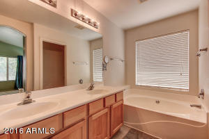 10044 E Osage Ave, Mesa, AZ 85212 photo 38