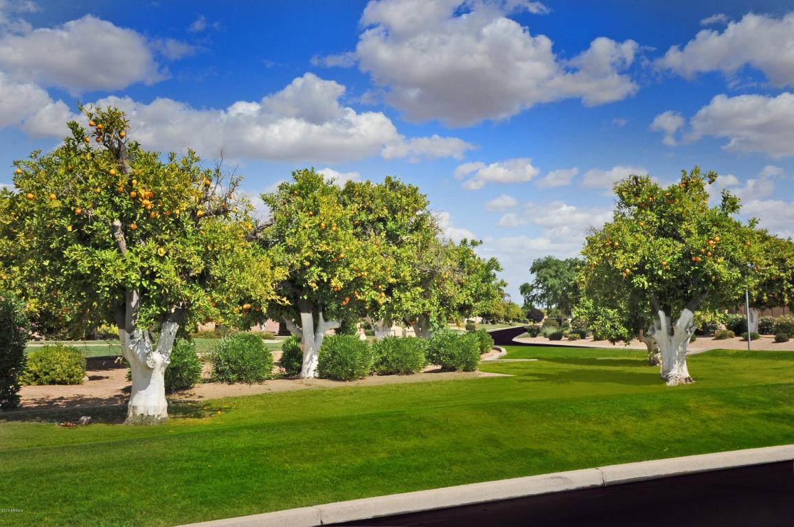 3455 E Jasmine Cir, Mesa, AZ 85213 photo 34