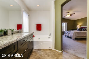 854 W Bruce Ave, Gilbert, AZ 85233 photo 13