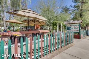 854 W Bruce Ave, Gilbert, AZ 85233 photo 39