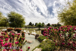 2113 S Drexel --, Mesa, AZ 85209 photo 43