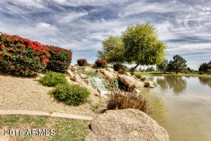 2113 S Drexel --, Mesa, AZ 85209 photo 45