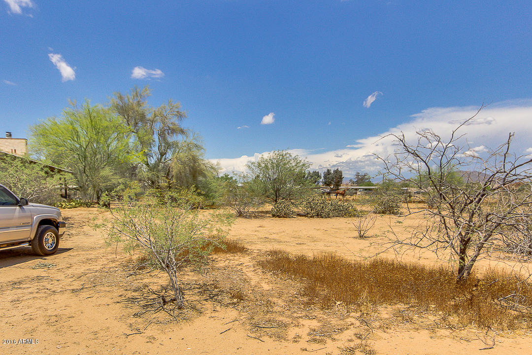 34834 N 3rd Ave, Phoenix, AZ 85086 photo 50