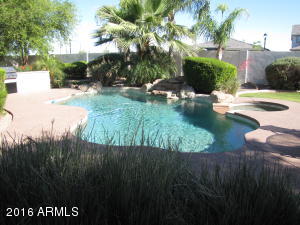 3137 E Robin Ln, Gilbert, AZ 85296 photo 11