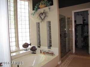 3137 E Robin Ln, Gilbert, AZ 85296 photo 51