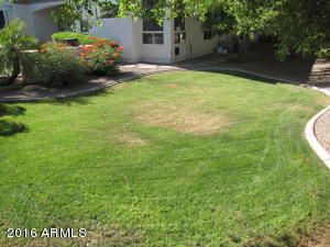 3137 E Robin Ln, Gilbert, AZ 85296 photo 24