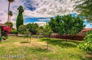 2449 E Inca St, Mesa, AZ 85213 photo 20
