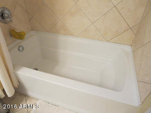 3984 E Cat Balue Dr, Phoenix, AZ 85050 photo 30