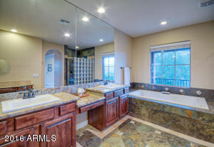 3733 E Robin Ln, Phoenix, AZ 85050 photo 27