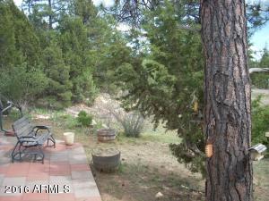 2192 Gingerbread Ln, Overgaard, AZ 85933 photo 5