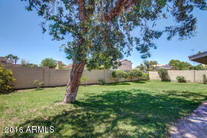1513 E Utopia Rd, Phoenix, AZ 85024 photo 23