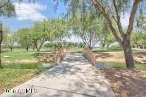 566 E Ginko Ct, Gilbert, AZ 85297 photo 37
